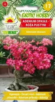 Toraf sėklos EGZOTINĖ HOBBY ADENIUM ROSE