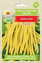 Toraf sėklos nykštukinės prancūziškos pupelės auksinė saksa