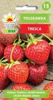 Toraf braškių sėklos Tresca