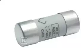 Hager Cilindrinis saugiklis BiWtz 22 x 58 gG 32A (LF532G)