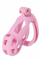 HIDDEN DESIRE EXTREME by HIDDEN DESIRE Penis Prison Regular ABS Cage System Black