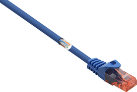 Renkforce RF-5044024. Kabellänge: 0,5 m, Kabelstandard: Cat6, Kabelschirmung: U/UTP (UTP), Anschluss 1: RJ-45, Anschluss 2: RJ-45, Datenübertragungsrate: 1000Mbit/s (RF-5044024)