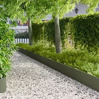 Vejo kraštas 20 pcs 103 x 30 cm Plienas Alyvuogių žalia