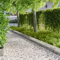 Vejo kraštas 20 pcs 103 x 25 cm Plienas Sidabrinė