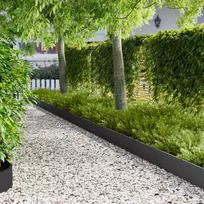 Vejo kraštas 30 pcs 103 x 20 cm Plienas Juoda