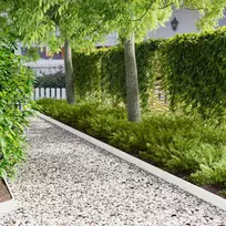 Vejo kraštas 50 pcs 103 x 10 cm Plienas Balta