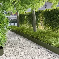 Vejo kraštas 30 pcs 103 x 20 cm Plienas Alyvuogių žalia