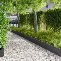 Vejo kraštas 10 pcs 103 x 25 cm Plienas Juoda