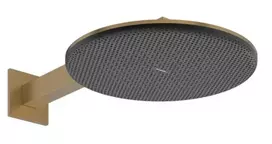 Hansgrohe Raindance Alive S – dušo galvutė, skersmuo 30 cm, 2 srovių tipai, EcoSmart, šlifuotas bronzos spalvos 24541140