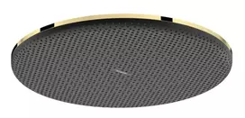 Hansgrohe Raindance Alive S – galvos dušas, skersmuo 30 cm, EcoSmart, poliruotas auksinis paviršius 24521990