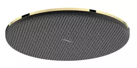 Hansgrohe Raindance Alive S – dušo galvutė, skersmuo 30 cm, poliruotas auksas 24520990