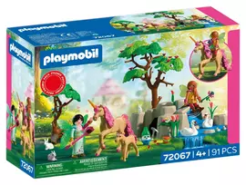 PLAYMOBIL Fairies´ Day Trip 72067