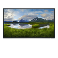 Dell Pro 24 Plus P2425HE Monitorius 23.8'' IPS FHD 1920x1080 8 ms 250 cd/m2 100 Hz (No stand), Juoda | 210-BMTC