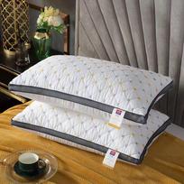 Prabangus viešbučio pagalvių rinkinys namams ir bendrabučiui (Pora) 48*74 low pillow 500g