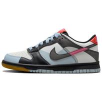 (GS) Nike Dunk Low SE 'Dance' Kids' FJ2686-100 EU 36