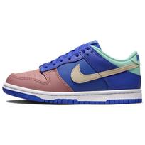 (GS) Nike Dunk Low 'Salmon Toe' Kids' DZ2873-400 EU 35.5