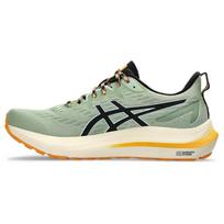 ASICS GT-2000 12 TR 'Nature Bathing - Green Fellow Yellow' Men's 1011B775-250 EU 42