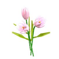 Urban area High-Quality Creativity High-Quality Flower High-Quality Bouquet High-Quality Tulip High-Quality Potted High-Quality Plant Construction