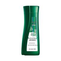 CENTAINE Artemisia Anti-Dandruff & Soothing Shampoo