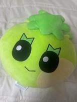 BOYNEXTDOOR Boneck and Lee Han Cushion Used