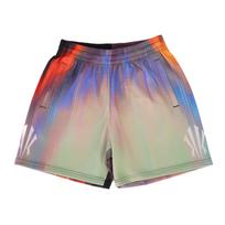 Anta Kyrie serija Vasaros sportiniai treniruočių šortai Krepšinio šortai Unisex šortai Pagrindiniai-Juodi 172621316-2 L gray