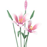Urban area High-Quality Creativity High-Quality Flower High-Quality Bouquet High-Quality Lily High-Quality Potted High-Quality Plant Construction