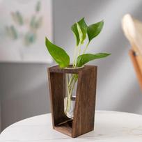 Šiaurietiškas minimalistinis hidroponinis žalias augalas, mėgintuvėlis, medinis rėmas, hidroponinė gėlių kompozicija, medinės stalviršio stiklinės vazos
