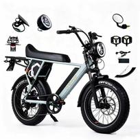 20  Fat Tire Electric Bike, 52V 19.2Ah Battery, 850W Motor, 45KM/H Max Speed, Hydraulic Disc Brake, Road Legal COC Approved E-bike for Adults pilka