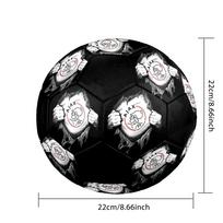AFC Ajax Soccer Ball Colorful All Ages Machine Stitched PVC Competition Ready Durable High-Bounce