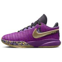 (GS) Nike LeBron 20 'Young Heirs' Kids' FD0207-500 EU 40