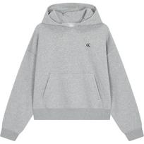 Calvin Klein Fall Solid Logo Hoodie Women hoodies Gray 40WI255-P79 S
