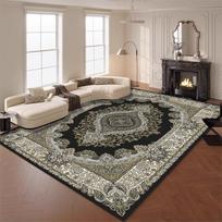 Nordic Black Gold Carpets for Living Room Home Decoration Retro Persian Rug Soft Bedroom Carpet Non-slip Bedside Mats 200x300 40x120cm