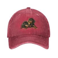 Klasikinė medvilninė takso šunelio beisbolo kepuraitė vyrams, moterims, personalizuota, reguliuojama, unisex, šuniuko, augintinio, tėčio kepurė, vasarinė Adjustable