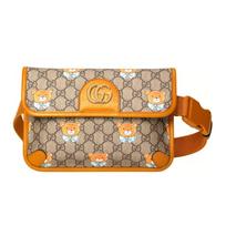 Gucci X Kai Limited Edition Teddy Bear Print Logo Canvas And Leather Waist Bag Unisex Waist Bag Ebony Brown 647817-2YVBG-8695 Basic Set (Bag+Dust Bag)