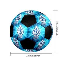 SIZE 5 FC Dynamo Kyiv Soccer Ball Colorful All Ages Machine Stitched PVC Competition Ready Durable High-Bounce