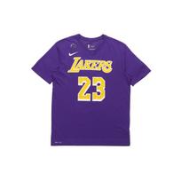 Nike NBA James LeBron James lakers limited Jersey Short Sleeve Purple Men's AR4888-557 S