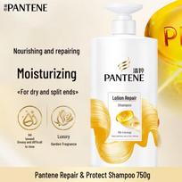Pantene Anti-Dandruff & Repair Shampoo