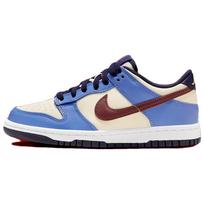 (GS) Nike Dunk Low 'From Nike To You' Kids' FV8119-161 EU 35.5