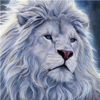 Visas 5D „pasidaryk pats“ deimantinis paveikslas animacinis filmas „Animal Lion“ deimantinis siuvinėjimas kryželiu namų dekoras Rankų darbo 25x25cm gray
