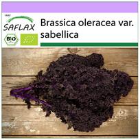 SAFLAX - Organic - Kale - Redbor - 50 seeds - Brassica oleracea
