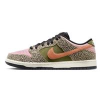 Nike x Arts-Rec Dunk SB Low Pro QS Unisex Low-Top Skate Shoes Brown Green IH3211-200 EU 45