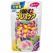 Kamu Buresu Kea Pouch Assort 100 Tablets Kobayashi Seiyaku Kamuburesukea Tsubu