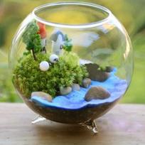 1pcs table top glass flower vase terrarium mini aquarium decorative ornament