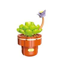Urban area High-Quality Creativity High-Quality Bouquet High-Quality Eternal High-Quality Flower High-Quality Succulents High-Quality Plant