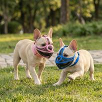 Breathable Dog Muzzle Short Nose Fit Bulldog Muzzle Easy Wear Pug Muzzle  Public Places M mėlyna