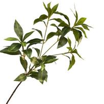 Dirbtinė medžio šaka Pieris žalias lapas Realistiškas nevytantis be laistymo vestuvių fotorekvizitai Namų biuro apdaila Dirbtinės žalumos augalas žalia