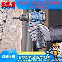 Dongcheng 12V Brushless Cordless Drill Driver CN plug (adapter included)