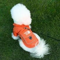 Thickened Cotton Two-Legged Dog Sweater for Small to Medium Dogs - Cold Resistant Pet Clothes Teddy Bichon Dog Warm Outfit (orange,S) oranžinė