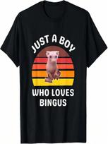 Just A Boy Who Loves Bingus Funny Hairless Sphynx Cat T-Shirt S įvairiaspalvis