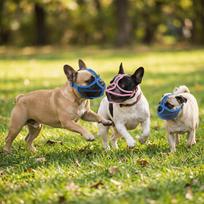 Adjustable Short Snout Muzzle Short Nose Fit Pug Muzzle Soft Touch Dog Muzzle  Anti Scavenge M mėlyna